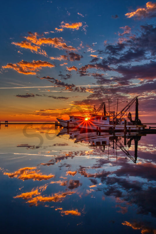 SUNKISSED ROOM SPRAY